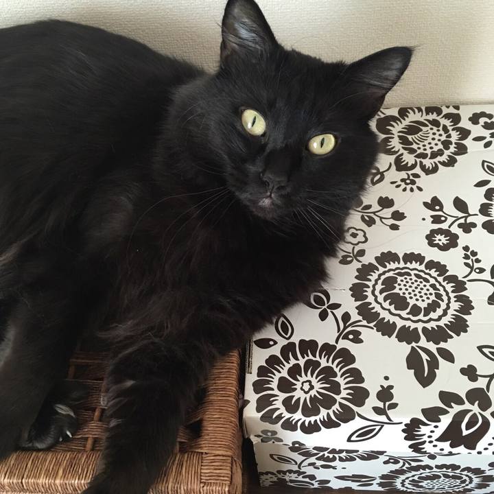 E60ee6d6 9350 4f7c 96ce e2b1be86b924