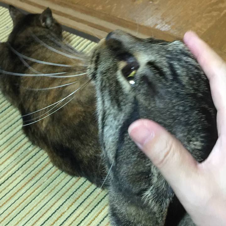 E60f0174 3211 4a4a ab0b 855d9ef5004c