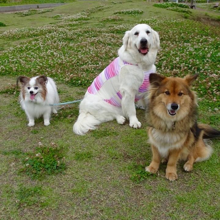 E60fef86 e943 42a0 bb90 5954f8e0e5f4