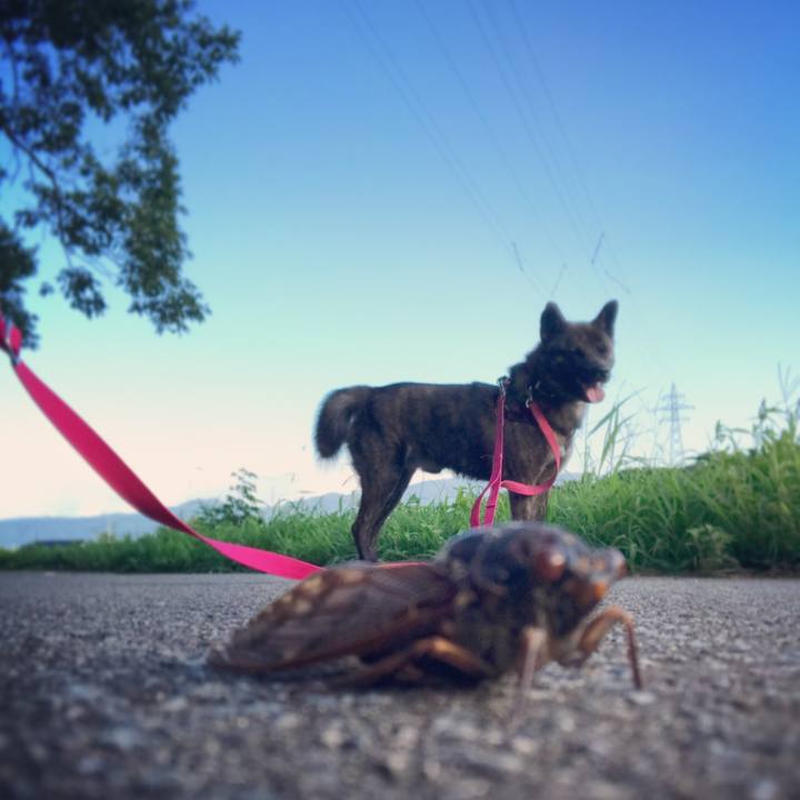 E610b2e8 c051 4ca1 9973 6eef8c62be2d