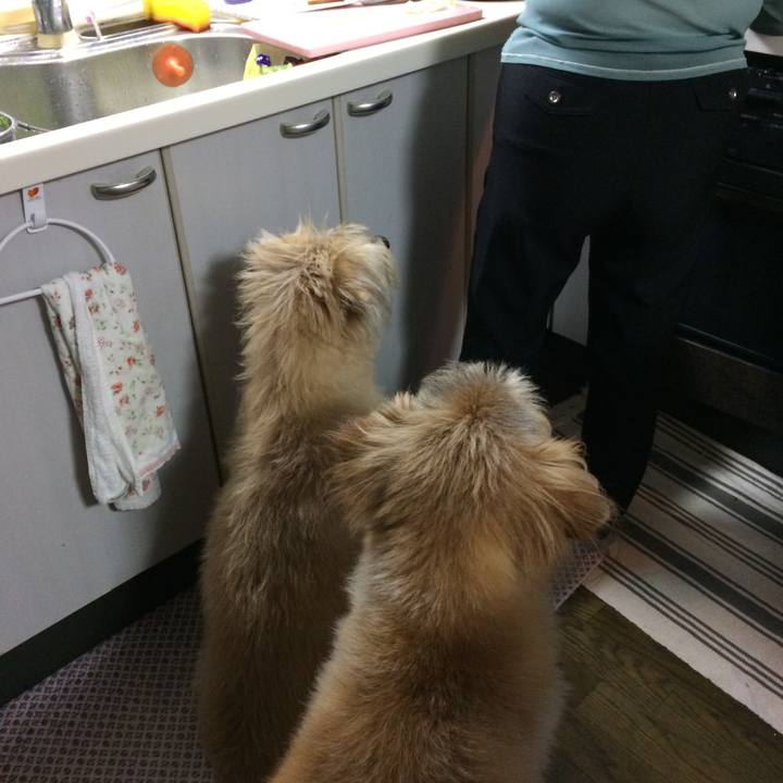 E610cd94 331e 495a 9673 806370db2469