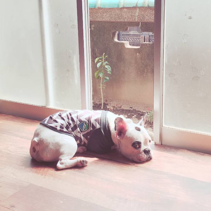 E6111b79 0d86 4162 a2ba 57cfbf8e0651