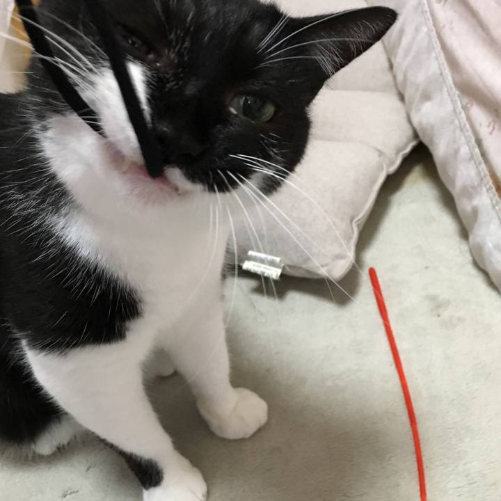 E611250d 586c 4107 b7c8 637dfb92501d