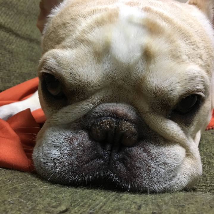 E61209eb 9a6d 4992 ac8e 4020cf4e1a84