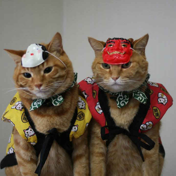 E61225b9 efc9 4126 b4f5 7627b53a2769