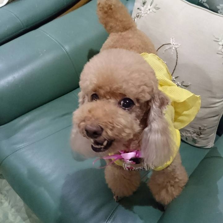 E6128e17 06b2 42ab af85 e5923623e86b