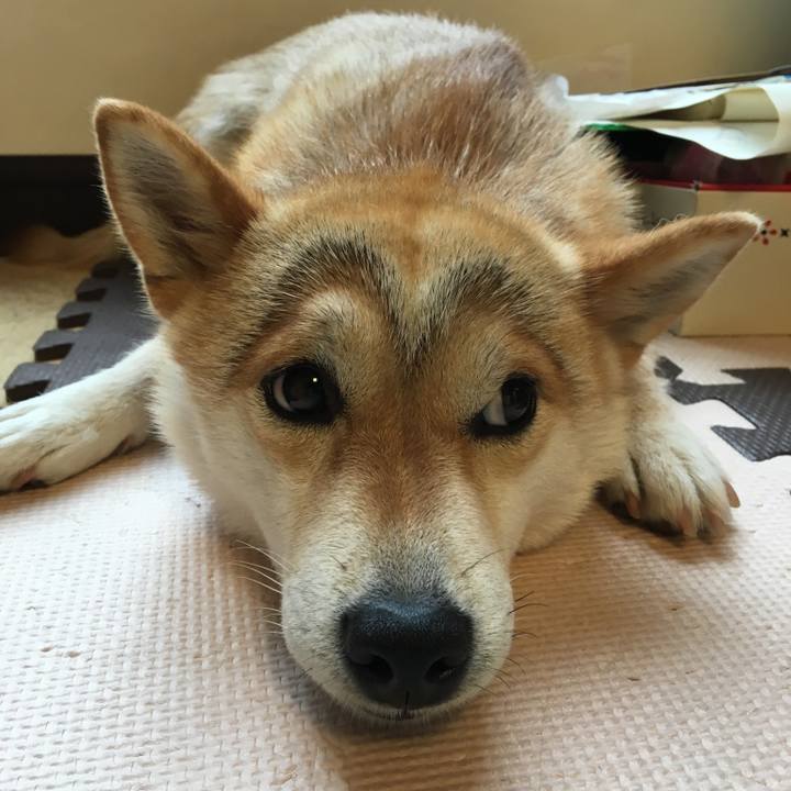 E612afd7 4751 4b5b 851b 326b371bd003