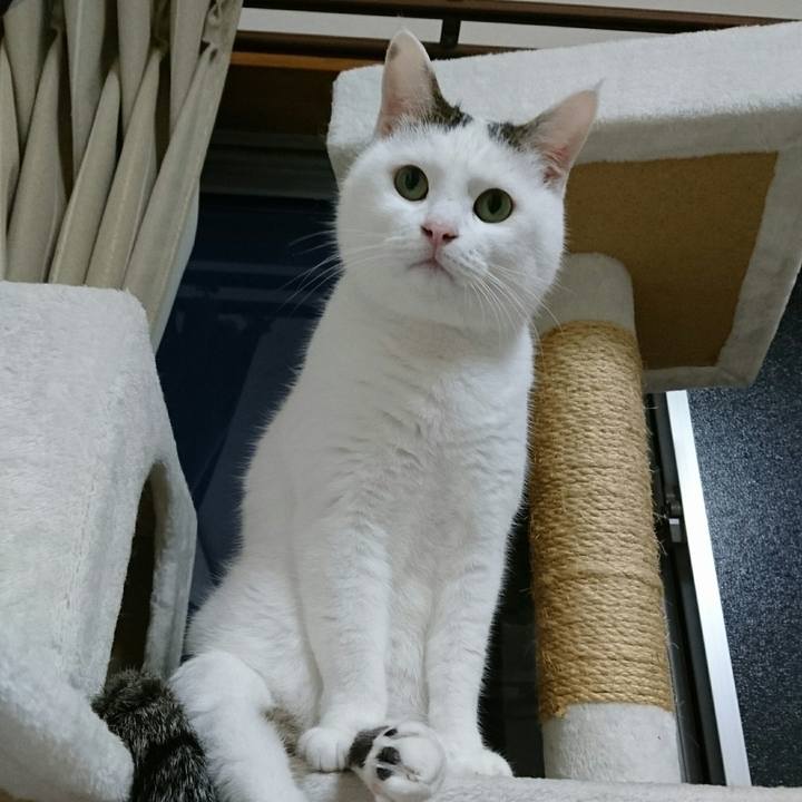 E612e270 419d 4c84 8a89 1916cce8aa25