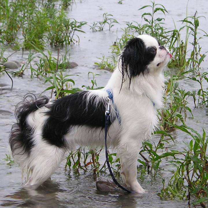 E613340e 57e9 4ddf 8eba f3f63273ea8c