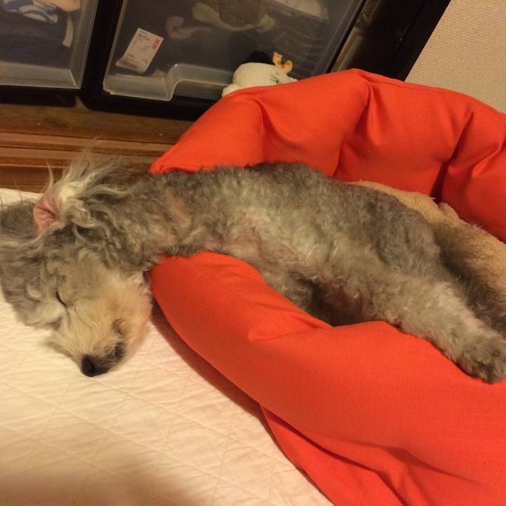 E613657a 83f0 48b6 9ddd 9b848ed4b602