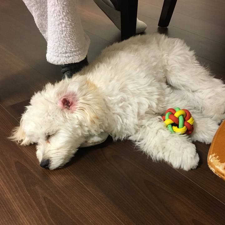 E614519a 4be1 4c34 ba01 d4c97e1f319c