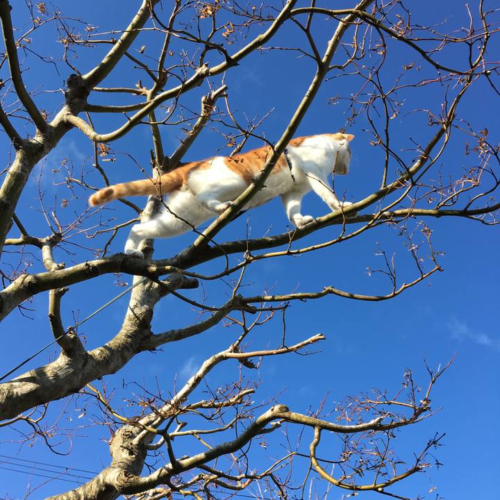 E61464b3 fc96 4402 a840 49eb27ecb3ca