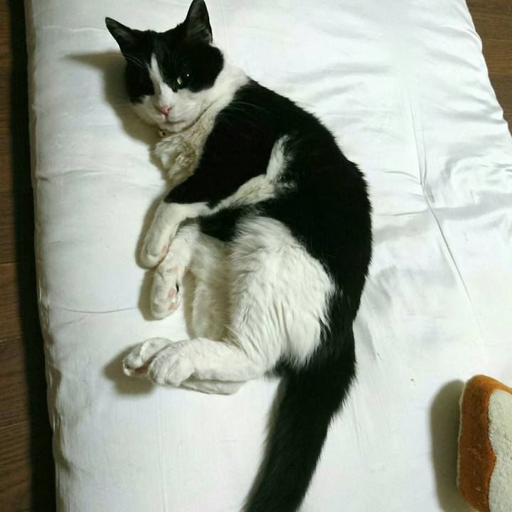 E6146859 355d 4bd7 9b84 9d6abc95277e