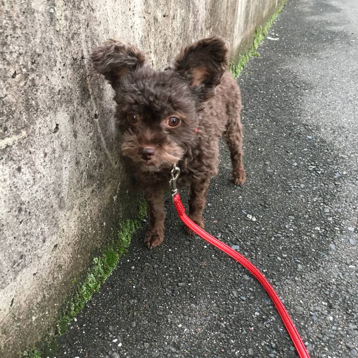 E615076d f3cf 4301 a26e 9c88a96bb2d4