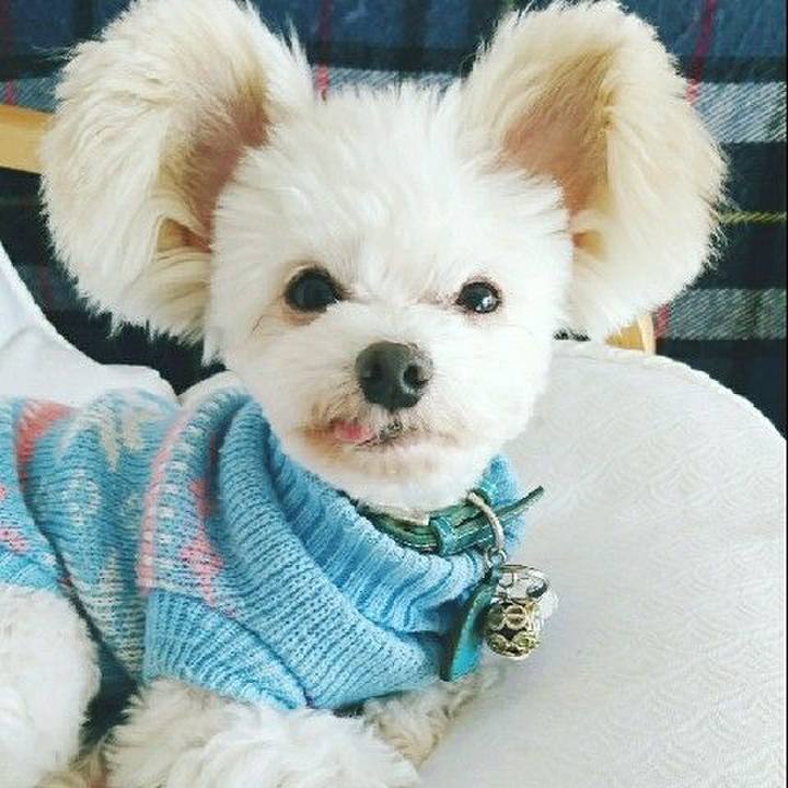 E6157c36 73af 4e20 a64d ace355752e62