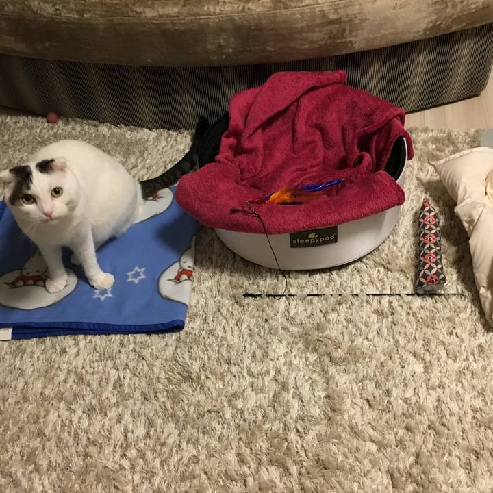 E615bd62 54e1 48f6 8fc7 89e23a4d226c