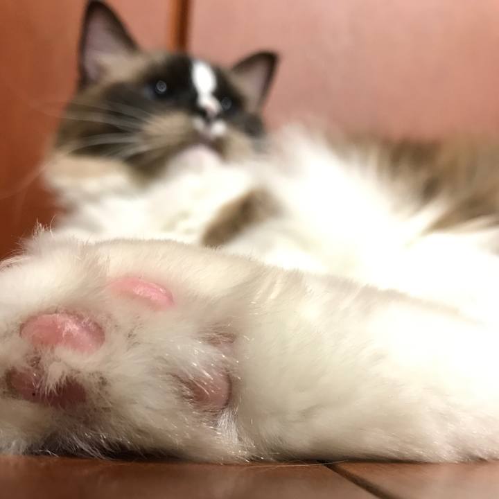 E615dcfe 4d20 4536 8bd9 cd39567b17e5