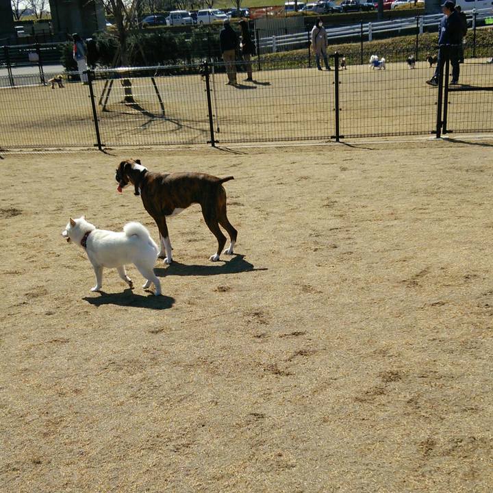 E615ecc9 68de 4680 8aaf ca46ea24356c