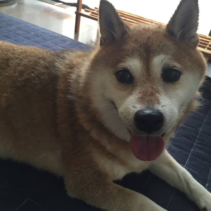 E6160c93 899a 42a1 9e4d 24153b185901