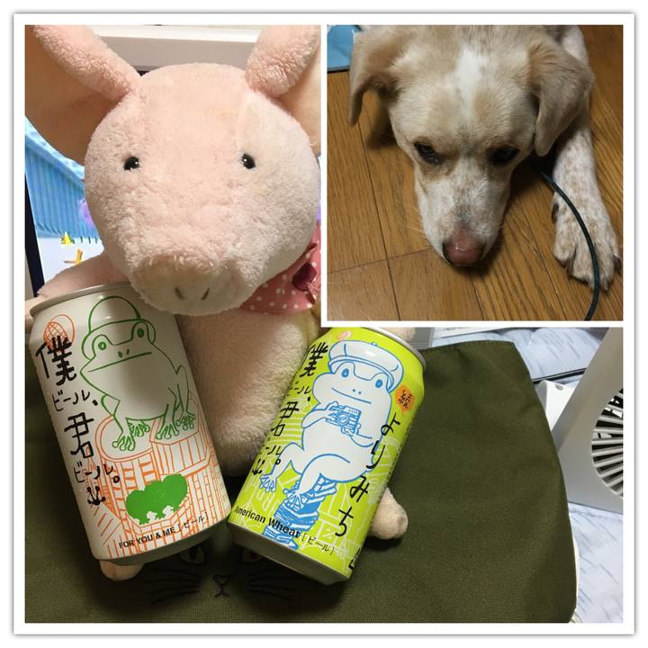 E61669ee b9a6 4e10 8888 45a7e058d946