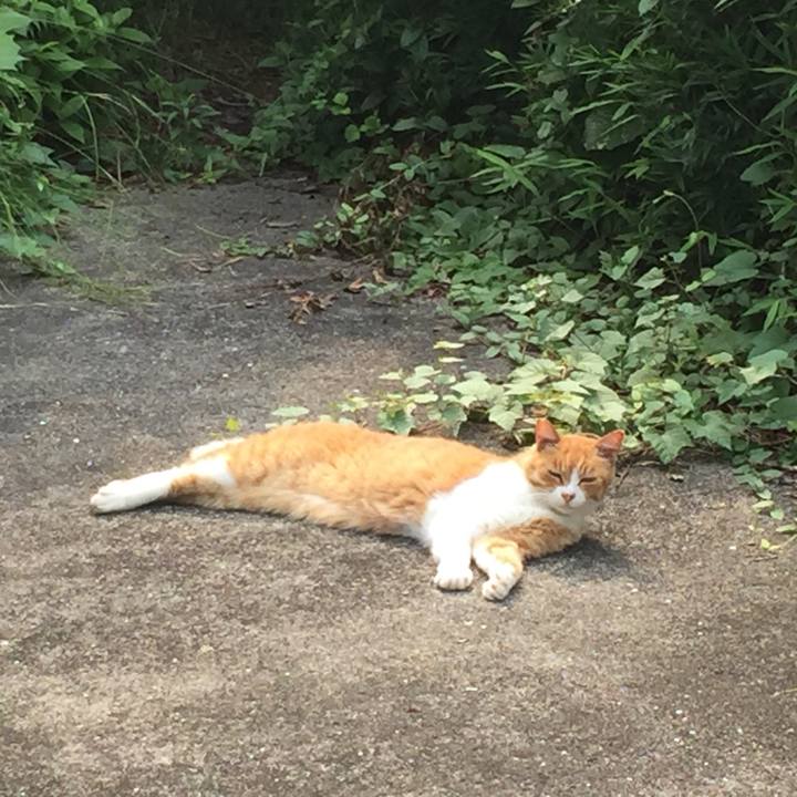 E618c4a1 098b 4386 8f7b f47ce34d3800