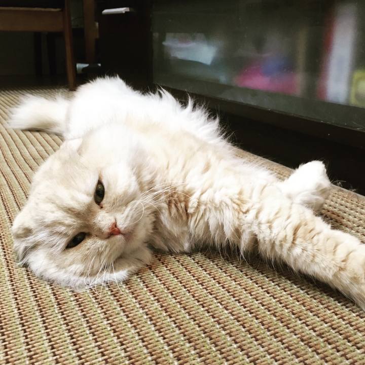 E618f764 009b 4174 8a2b 26c4363d3552