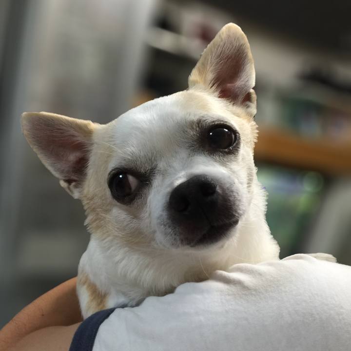 E61919a6 22f1 40b7 9852 504dbbd4f39c