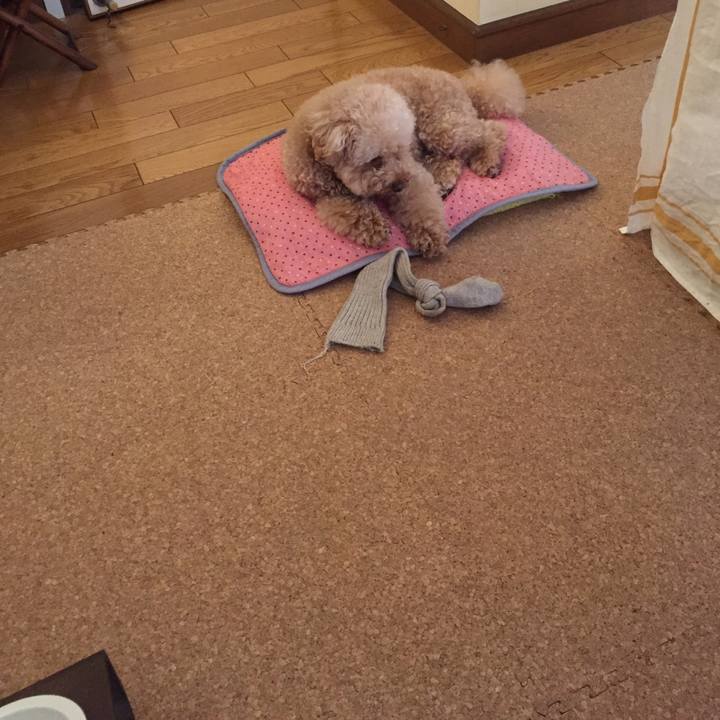 E619e33d 24b8 4c17 819f a3ad02893d35