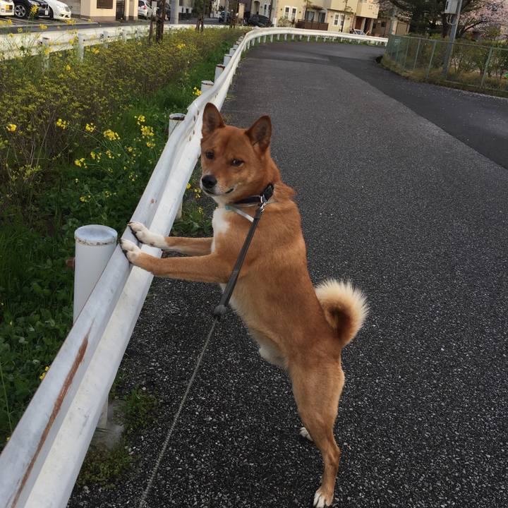 E61a4673 4637 412a 880a 0c8d9236eb66