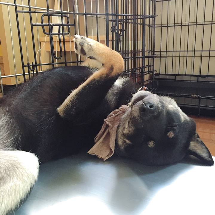 E61c3f1a f1ec 4d2d a056 81a2c4b34cb9