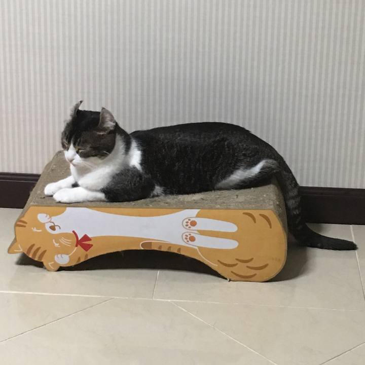 E61cb537 0807 4de9 a36d 9daeb1331947