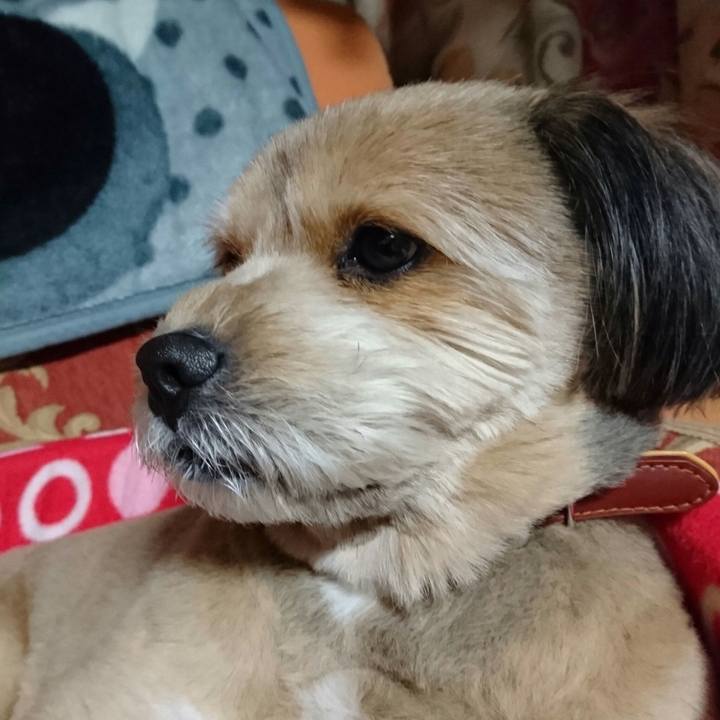 E61cd4ea 4a92 4238 8078 701b83aee33f