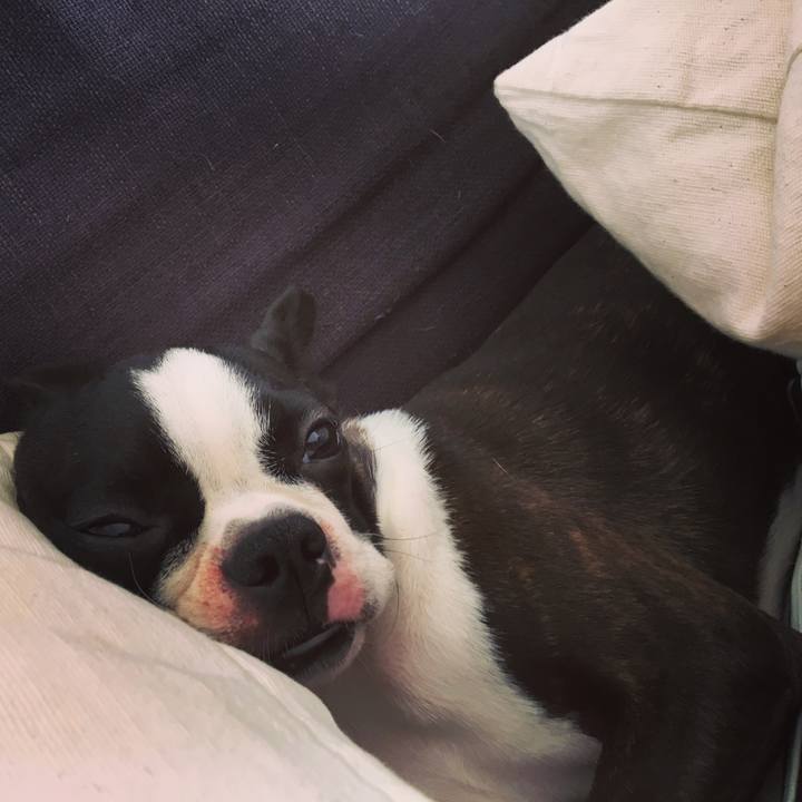 E61d3ec0 9a15 44d2 b129 62beba9b7922