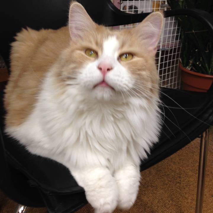 E61d95b9 d88b 4909 86c2 89f580514769