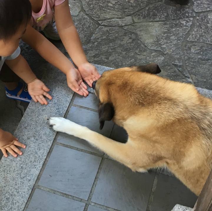 E61e4288 a2f7 4356 a753 72c49b2b6b00