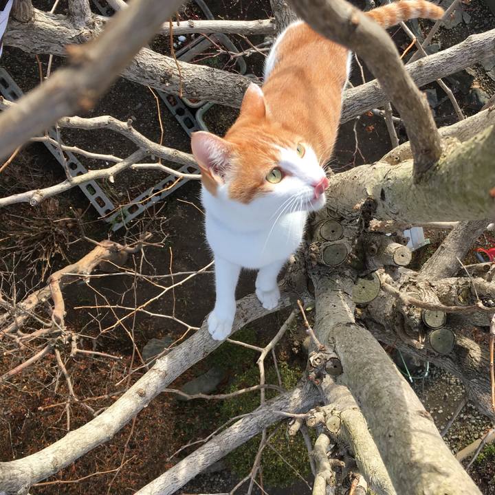 E61e82d6 467b 4343 86f9 518676c88220