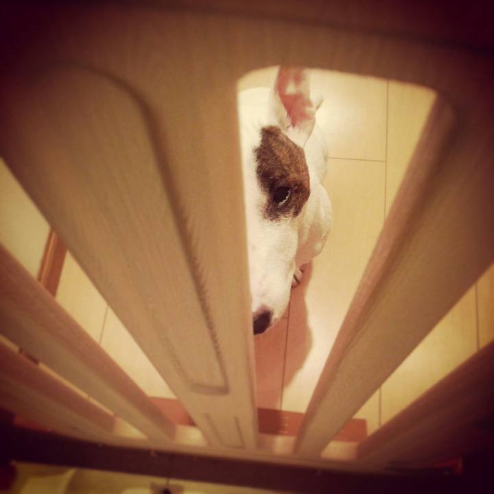 E61f171c 7cb8 45a9 be36 6ae5faa43f50