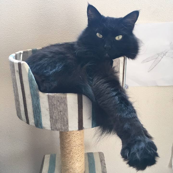 E61f7718 eb9e 4911 806c d94147121d38