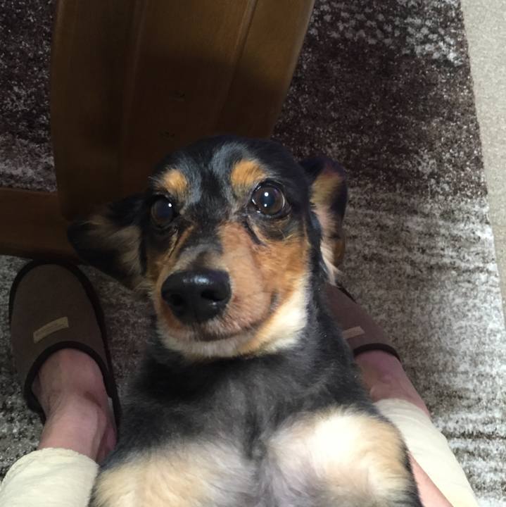 E61fa7ce e0ef 4119 8468 b8e9deb50e04