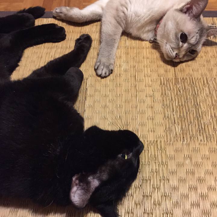 E62049cf 6cc7 487e a045 58d8efd152b4