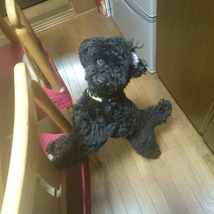 E62055b8 4d97 45e5 a792 d4239dadbf53