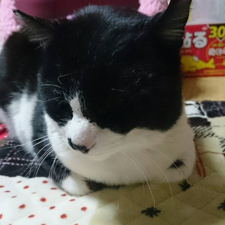 E6207780 663c 438b 9a23 6c9f22612f34