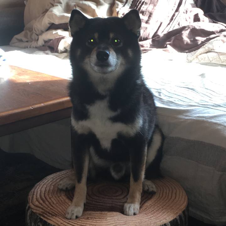 E6208c26 75e0 4a23 a226 de87721d65a9