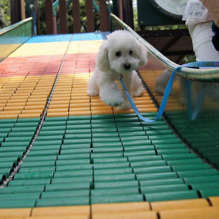 E620b5bf 66fc 4066 ae4f 015a875c2700