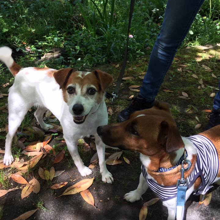 E620c29d b847 42ff 9278 39233a7e9346