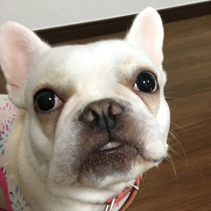 E620f2d3 56c6 4ddd 86b2 03329da3ad12