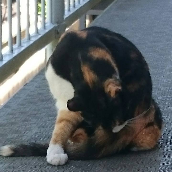 E6216a41 eda8 4aac bec4 b3ba7b49867e