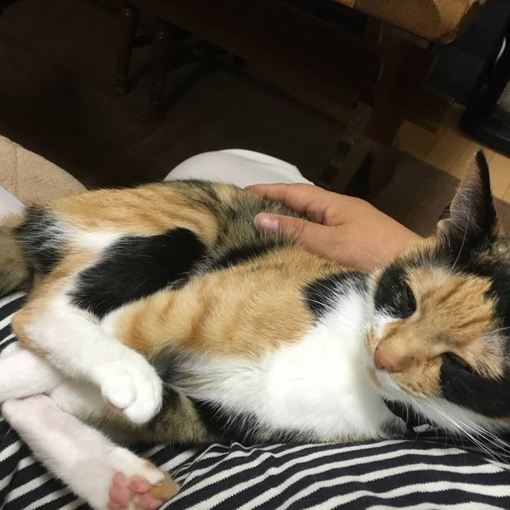 E62179ef e1e8 4e51 b4e3 015afe98f972