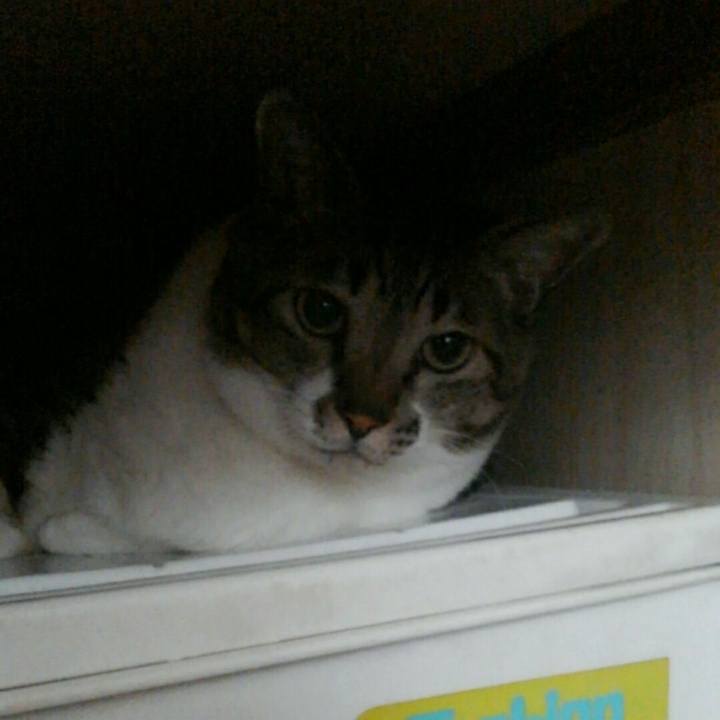 E6219cf0 052f 499e a0e7 3d636d96fbb6