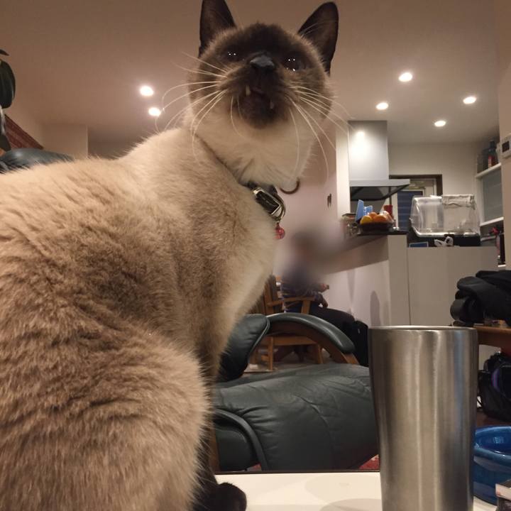 E621eaeb d7b3 4fcf b171 21b221b7dc73